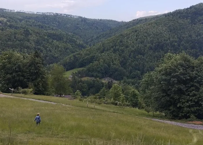 Przystanek Bystra * Przyborow (Silesia)