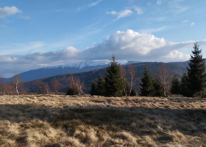 Przystanek Bystra בית נופש