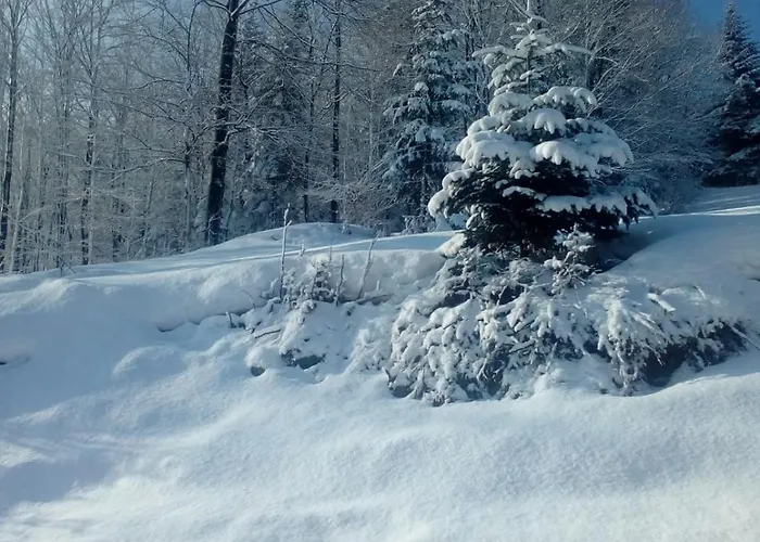 Przystanek Bystra בית נופש