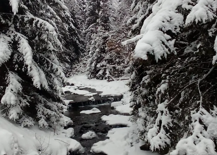 בית נופש Przystanek Bystra Przyborow (Silesia)